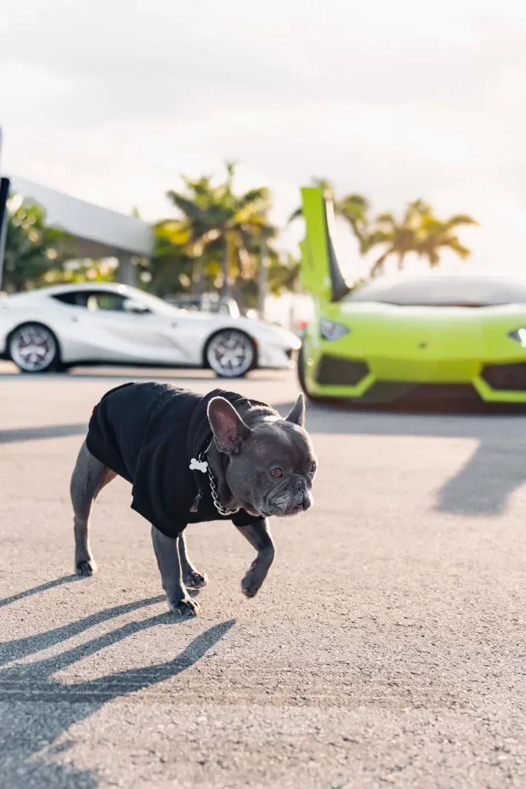 money-shot-2021-blu-mph-club